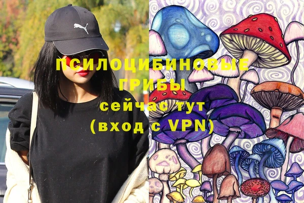 не бодяженный Армянск