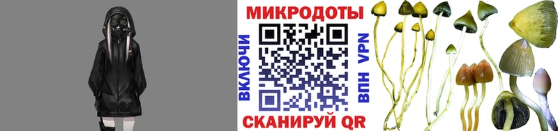 закладка Обоянь Галлюциногенные грибы мицелий